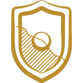 shield icon