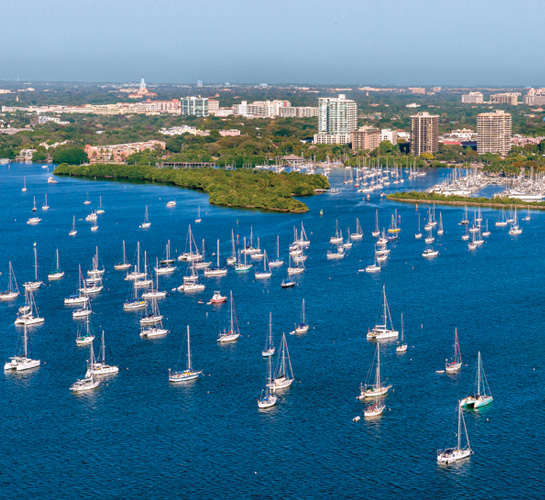 coconut grove branch