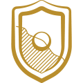 shield icon
